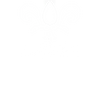 Lignée - Home